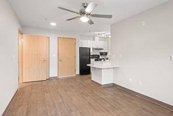 Wood-style plank flooring